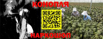 ГАЛЛЮЦИНОГЕННЫЕ ГРИБЫ Усть-Джегута