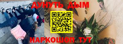 ГАЛЛЮЦИНОГЕННЫЕ ГРИБЫ Усть-Джегута