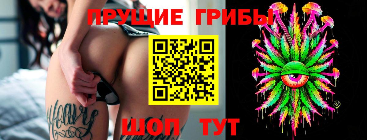 Псилоцибиновые грибы прущие грибы  Вход с VPN  Новокубанск  Галлюциногенные грибы Magic Shrooms 