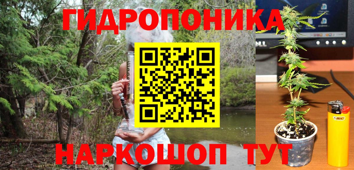 МАРИХУАНА план  МАРИХУАНА индика  Каннабис LSD WEED  Новокубанск  Вход с VPN 
